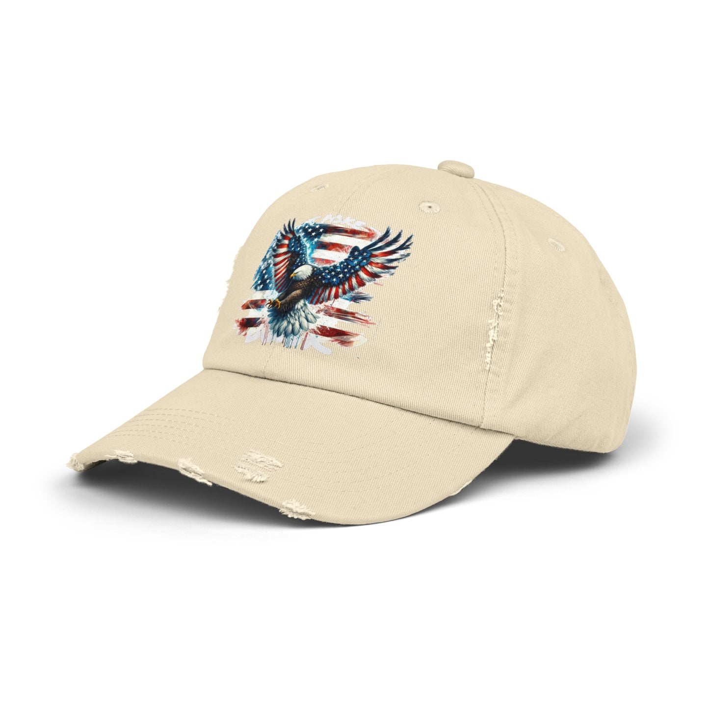 American Eagle Unisex Distressed Cap